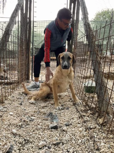 Mafalda merita una casa  | Foto 3