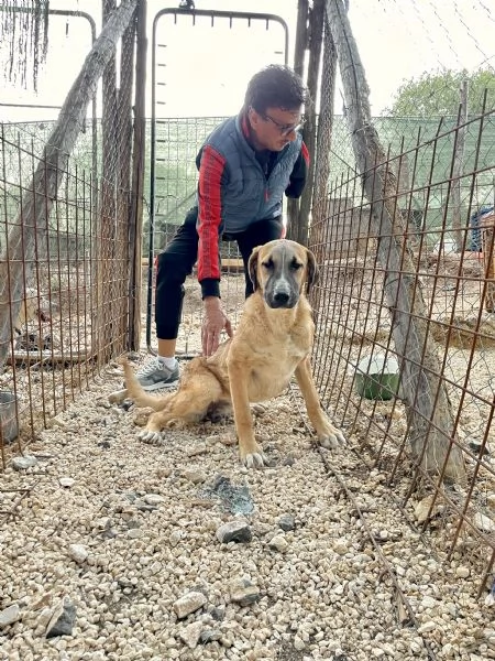 Mafalda merita una casa 
