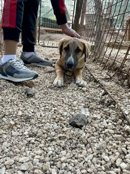 Mafalda merita una casa  | Foto 1