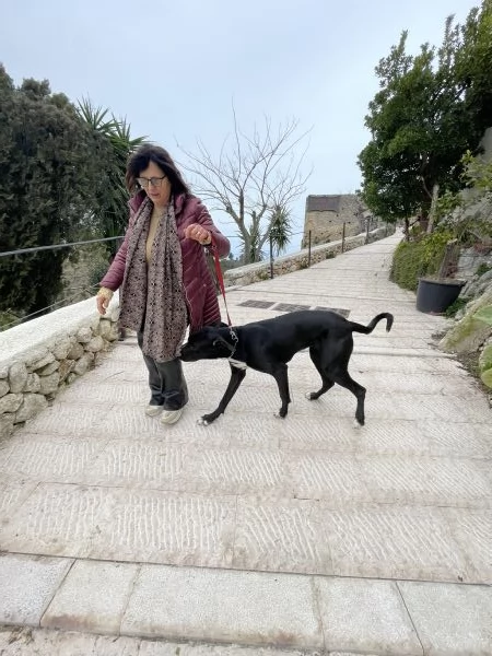 Cloe Alano cerca casa 