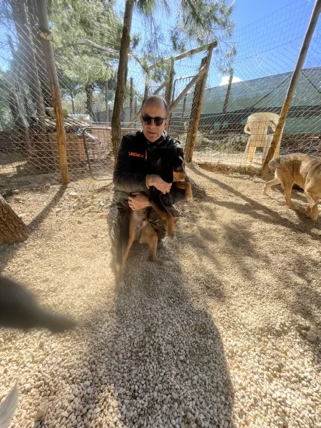 Pluto segugino 15 kg  | Foto 1