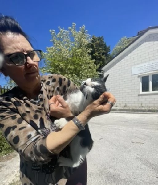 Zorro micione in cerca di casa  | Foto 4