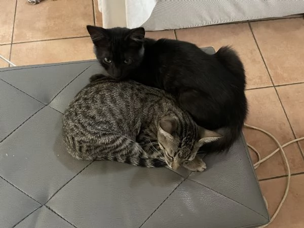 Minnie & Moky cercano casa  | Foto 3