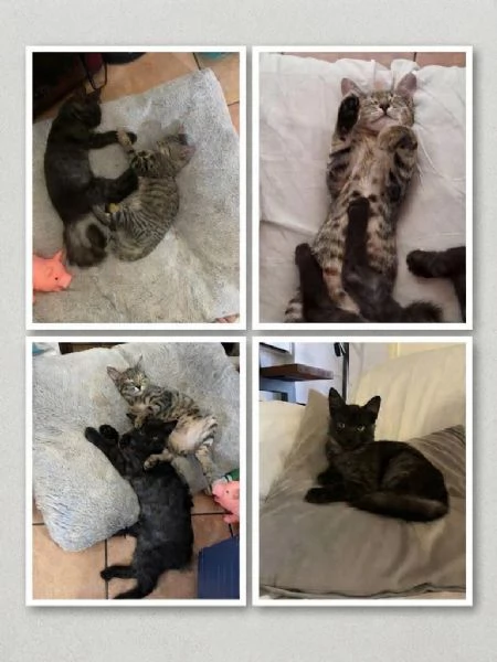 Minnie & Moky cercano casa 