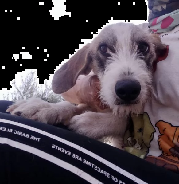 la dolcissima milvah | Foto 4