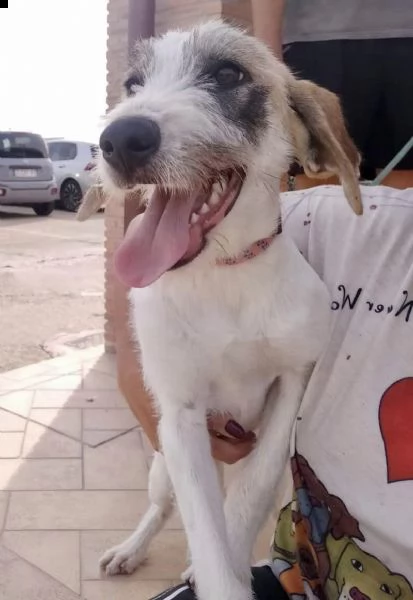 la dolcissima milvah | Foto 3