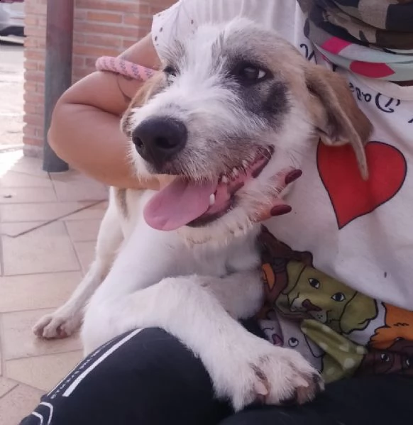 la dolcissima milvah | Foto 2