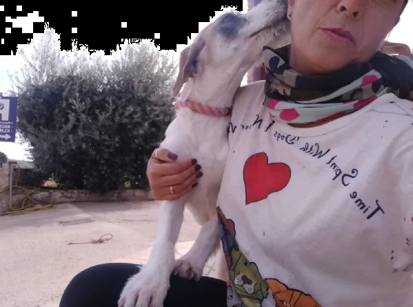 la dolcissima milvah | Foto 1