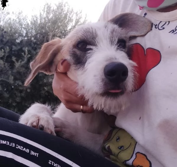 la dolcissima milvah | Foto 0