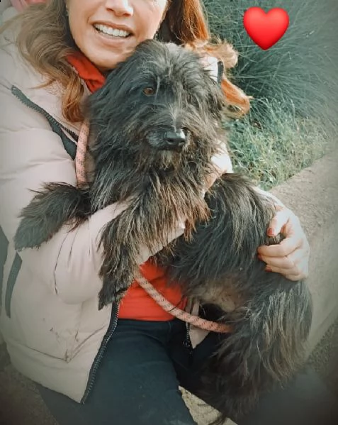 raul dolce spinoncino | Foto 0