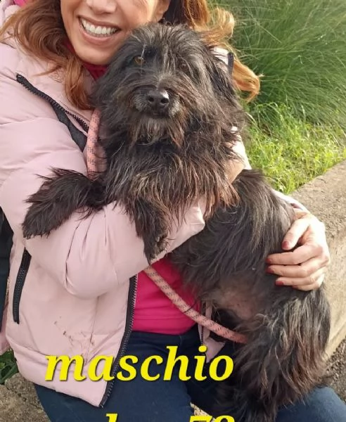 raul dolce spinoncino