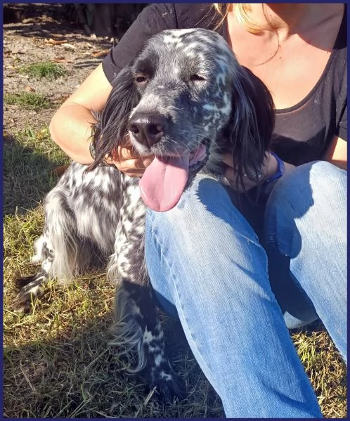 TANZANIA, DOLCE SETTERINA SENZA CODA, 4 ANNI | Foto 4