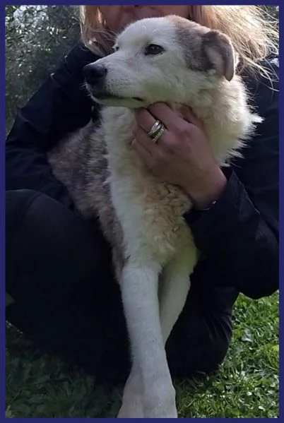 GENGIS CAN, TENERO NONNINO DI 12 ANNI | Foto 0