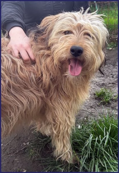 FANGO DOLCE SPINONCELLO 2-3 ANNI | Foto 6