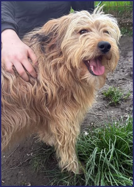 FANGO DOLCE SPINONCELLO 2-3 ANNI | Foto 5