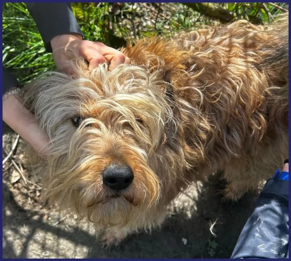 FANGO DOLCE SPINONCELLO 2-3 ANNI | Foto 4