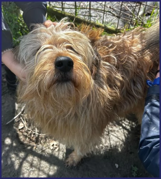 FANGO DOLCE SPINONCELLO 2-3 ANNI | Foto 3