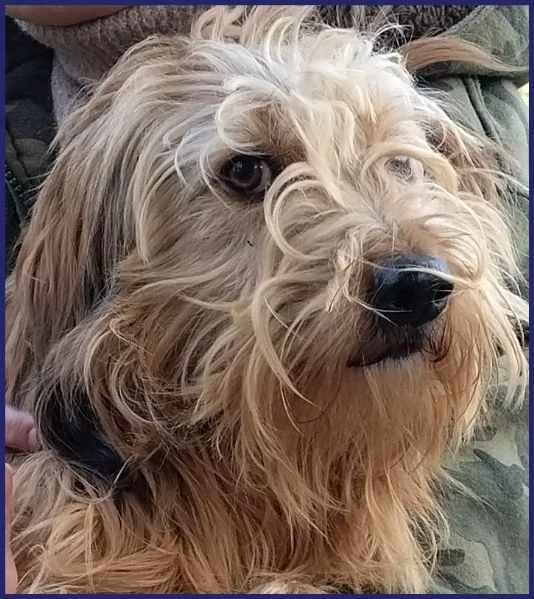 FANGO DOLCE SPINONCELLO 2-3 ANNI | Foto 2