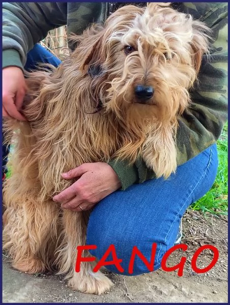 FANGO DOLCE SPINONCELLO 2-3 ANNI