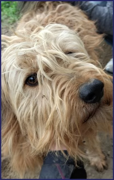 FANGO DOLCE SPINONCELLO 2-3 ANNI | Foto 1