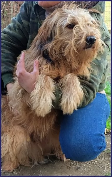 FANGO DOLCE SPINONCELLO 2-3 ANNI | Foto 0