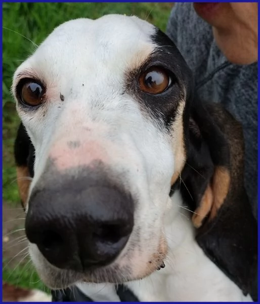 MOIRA SPLENDIDA SEGUGIA 7 ANNI | Foto 4