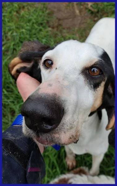 MOIRA SPLENDIDA SEGUGIA 7 ANNI | Foto 1