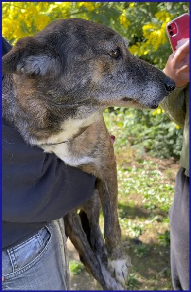 WILMA FLINSTONES, NONNINA TIGRATA | Foto 6