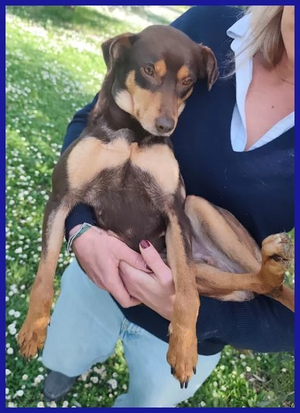 MOU TENERISSIMA PICCOLETTA DI 2 ANNI