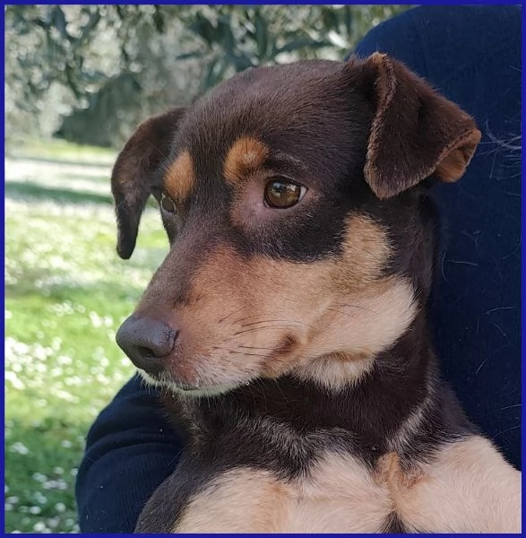 MOU TENERISSIMA PICCOLETTA DI 2 ANNI | Foto 6