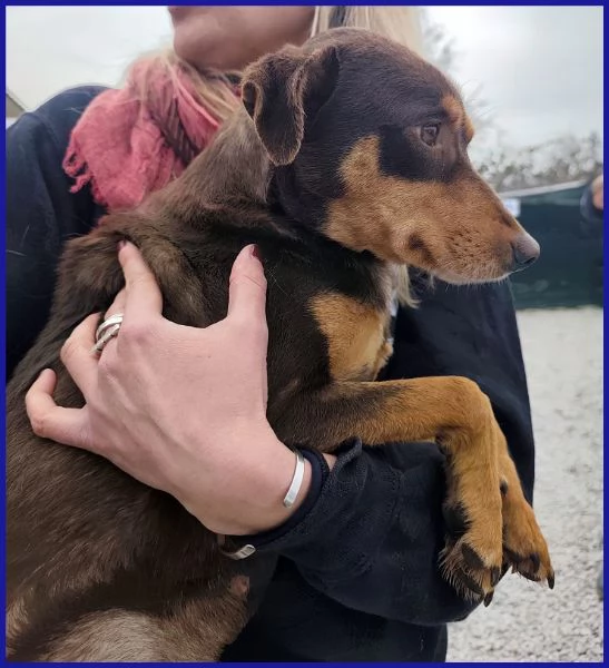 MOU TENERISSIMA PICCOLETTA DI 2 ANNI | Foto 4