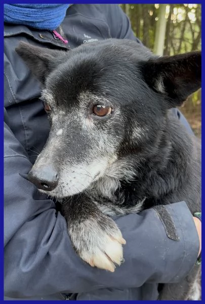 BULLONE, UN TENERO VECCHIETTO | Foto 5