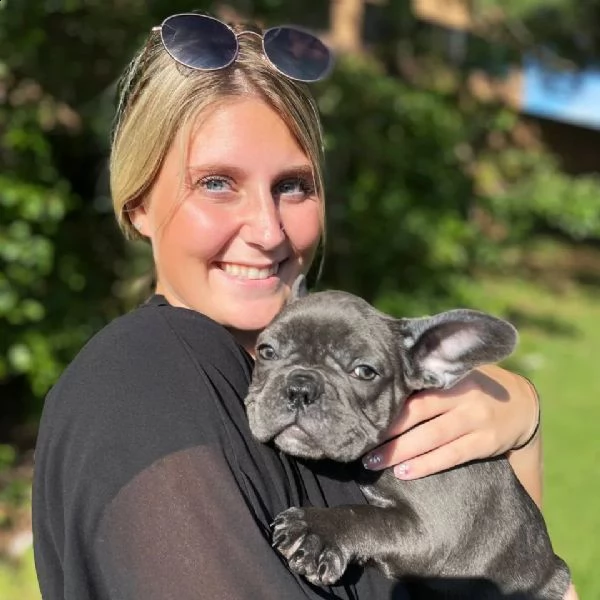 cuccioli di bulldog francesi.  