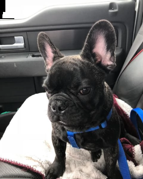 ??????? ????? ???????????? ???????? ???????? ? ??????