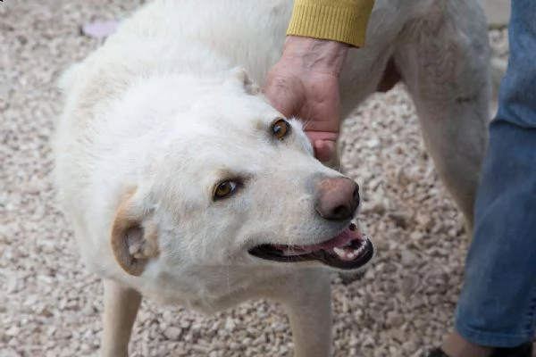 SUSI OCCHIONI DOLCISSIMI | Foto 4