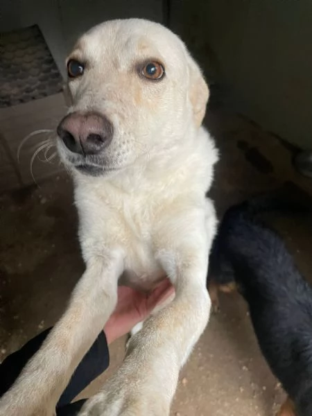 SUSI OCCHIONI DOLCISSIMI | Foto 3