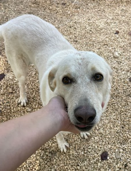 SUSI OCCHIONI DOLCISSIMI | Foto 0