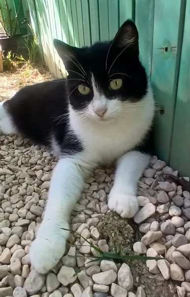 adotta PESCA  | Foto 1