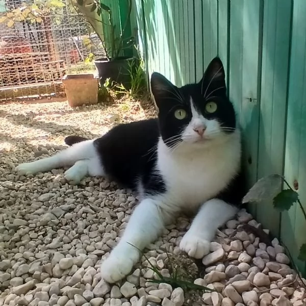 adotta PESCA  | Foto 0