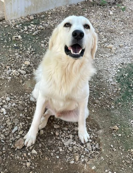 LO SPLENDIDO LUCKY | Foto 1