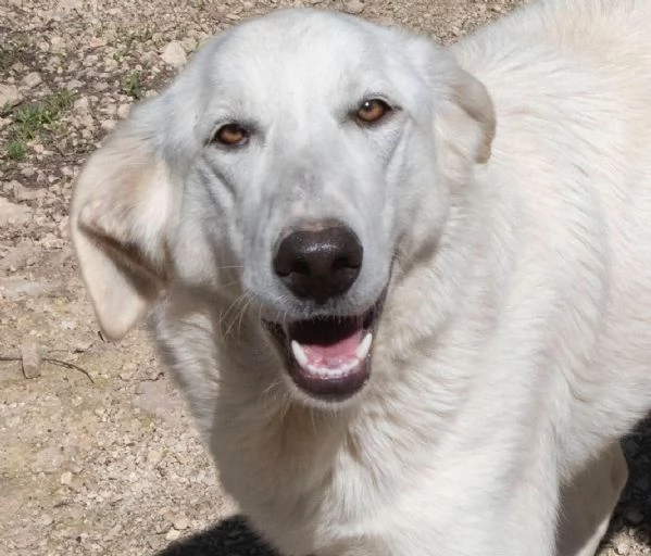 IL DOLCE SORRISO DI ZULEIA | Foto 3