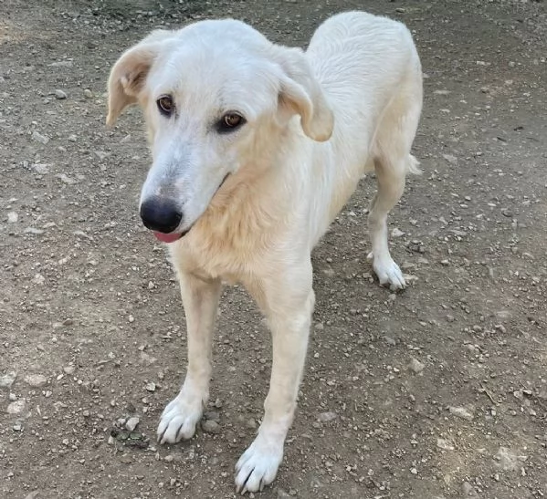 IL DOLCE SORRISO DI ZULEIA | Foto 2