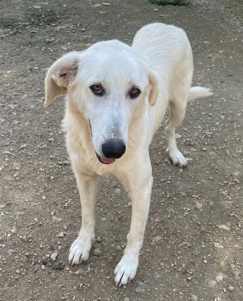 IL DOLCE SORRISO DI ZULEIA