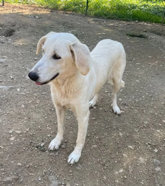 IL DOLCE SORRISO DI ZULEIA | Foto 1