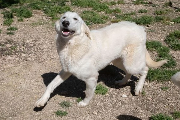 IL DOLCE SORRISO DI ZULEIA | Foto 0