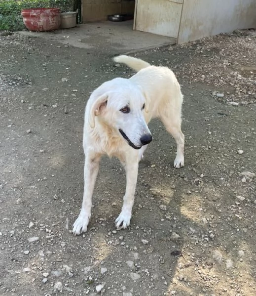 IL DOLCE SORRISO DI ZULEIA | Foto 3