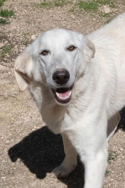 IL DOLCE SORRISO DI ZULEIA | Foto 1