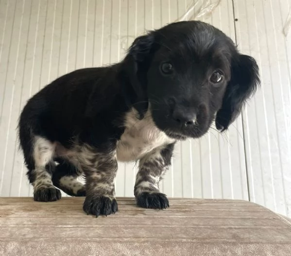 LEON e sorelline | Foto 6