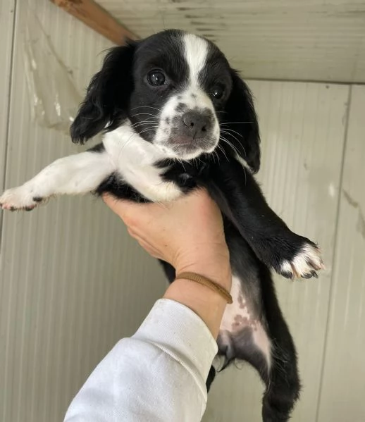 LEON e sorelline | Foto 3