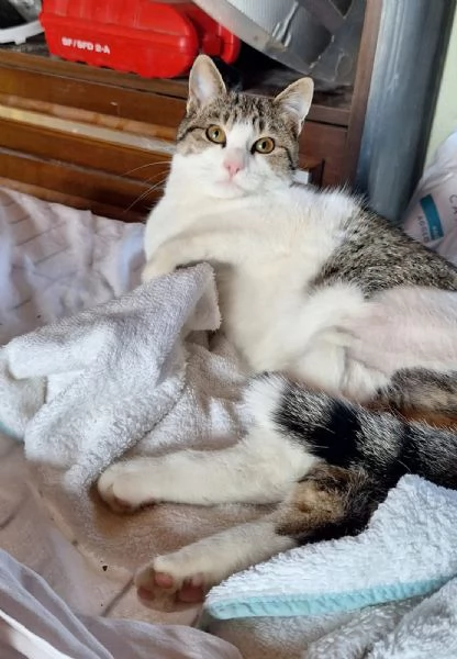 Emily, lasciati conquistare dalla sua tenerezza  | Foto 6